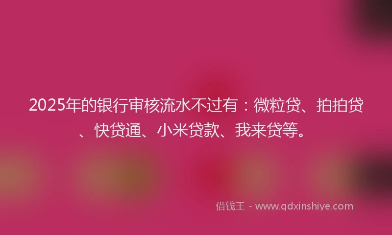 2025年的银行审核流水不过有：微粒贷、拍拍贷、快贷通、小米贷款、我来贷等。