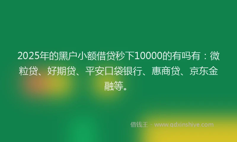 2025年的黑户小额借贷秒下10000的有吗有：微粒贷、好期贷、平安口袋银行、惠商贷、京东金融等。