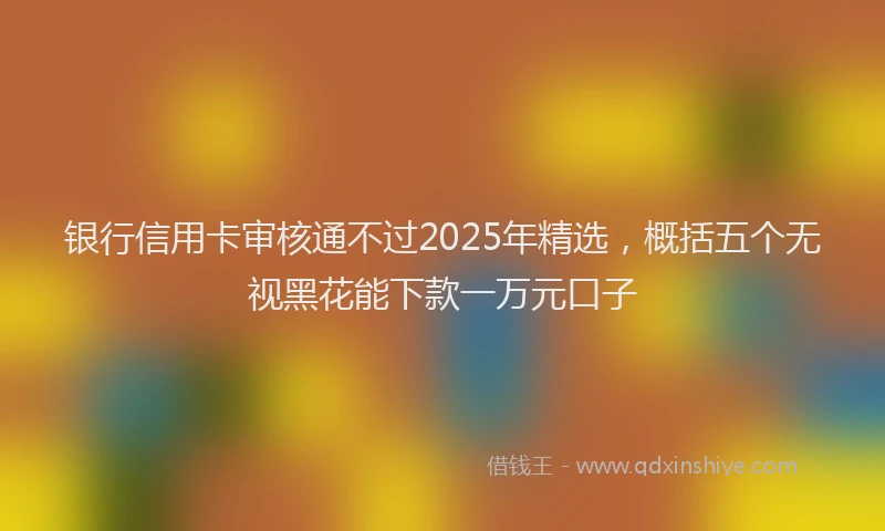 银行信用卡审核通不过2025年精选，概括五个无视黑花能下款一万元口子
