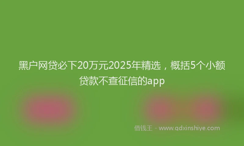 黑户网贷必下20万元2025年精选，概括5个小额贷款不查征信的app