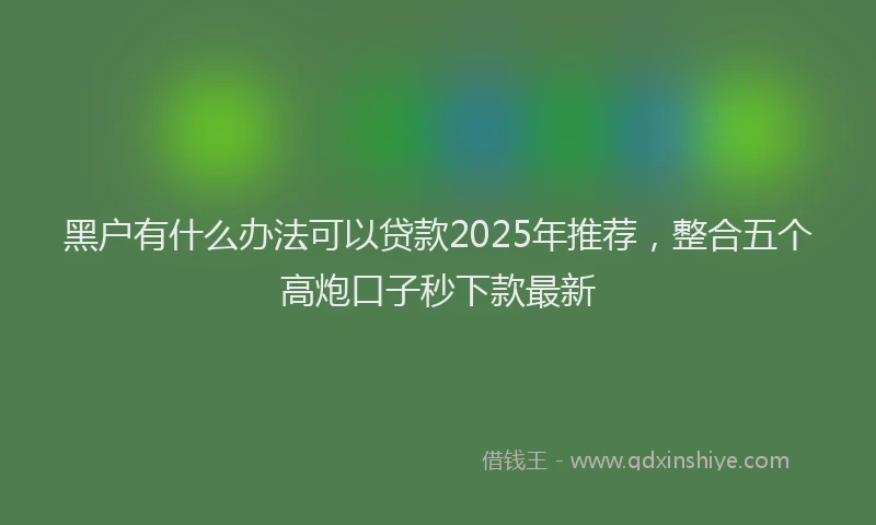 黑户有什么办法可以贷款2025年推荐，整合五个高炮口子秒下款最新