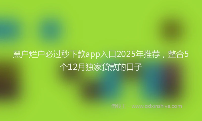 黑户烂户必过秒下款app入口2025年推荐，整合5个12月独家贷款的口子
