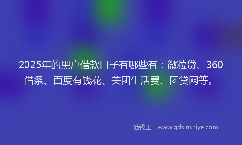 2025年的黑户借款口子有哪些有：微粒贷、360借条、百度有钱花、美团生活费、团贷网等。