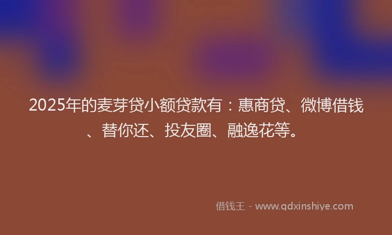 2025年的麦芽贷小额贷款有：惠商贷、微博借钱、替你还、投友圈、融逸花等。