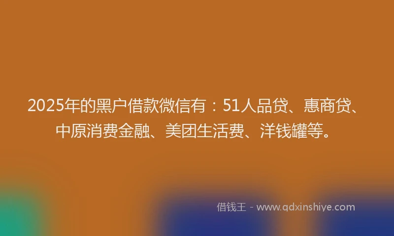 2025年的黑户借款微信有：51人品贷、惠商贷、中原消费金融、美团生活费、洋钱罐等。