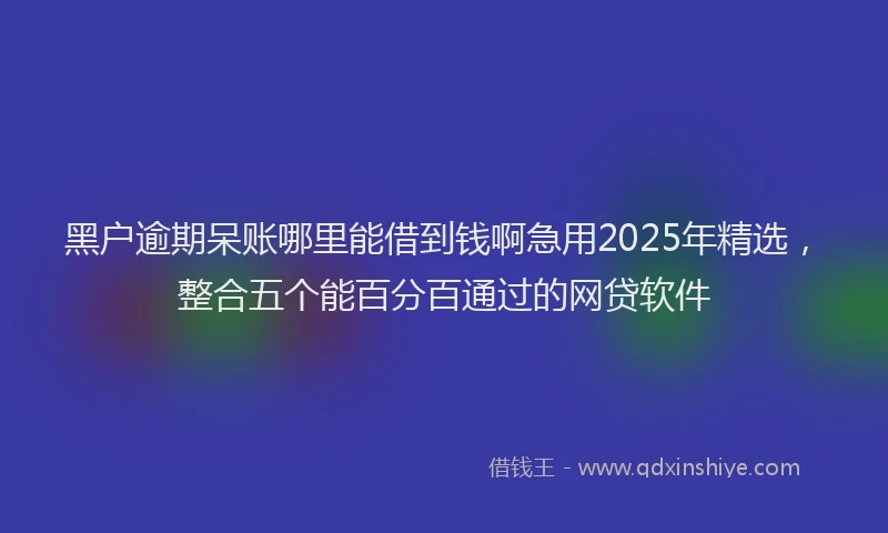 黑户逾期呆账哪里能借到钱啊急用2025年精选，整合五个能百分百通过的网贷软件