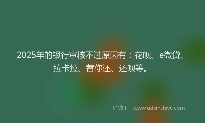 2025年的银行审核不过原因有：花呗、e微贷、拉卡拉、替你还、还呗等。