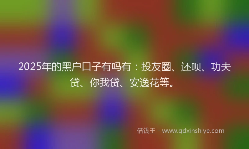 2025年的黑户口子有吗有：投友圈、还呗、功夫贷、你我贷、安逸花等。