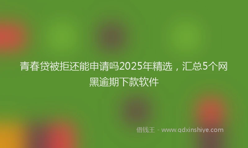 青春贷被拒还能申请吗2025年精选，汇总5个网黑逾期下款软件