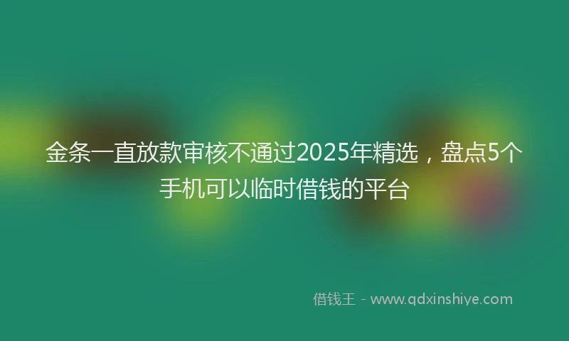 金条一直放款审核不通过2025年精选，盘点5个手机可以临时借钱的平台