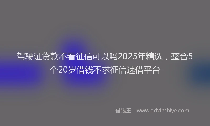 驾驶证贷款不看征信可以吗2025年精选，整合5个20岁借钱不求征信速借平台