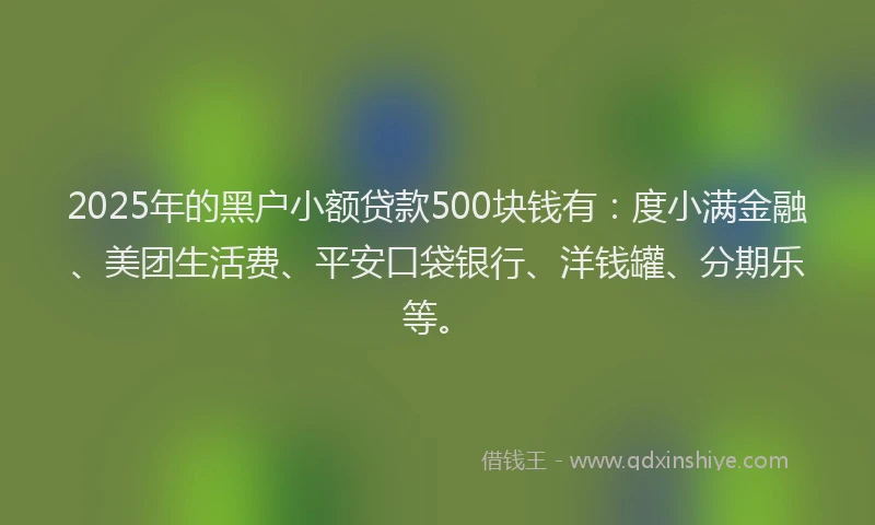 2025年的黑户小额贷款500块钱有：度小满金融、美团生活费、平安口袋银行、洋钱罐、分期乐等。