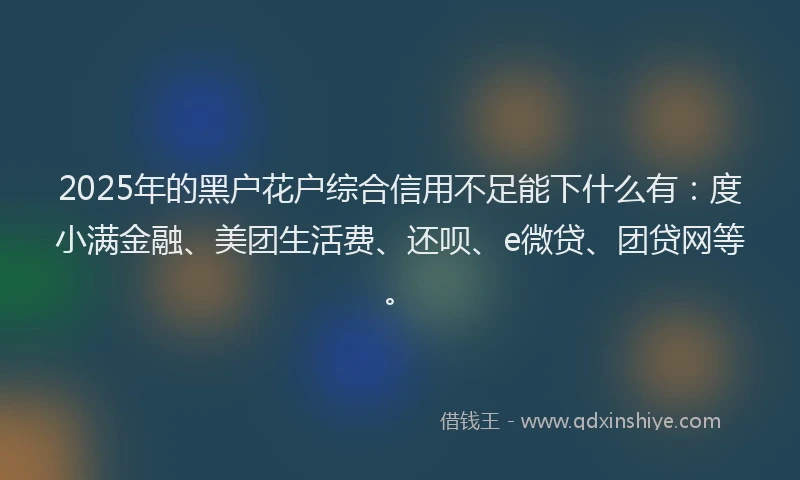 2025年的黑户花户综合信用不足能下什么有：度小满金融、美团生活费、还呗、e微贷、团贷网等。