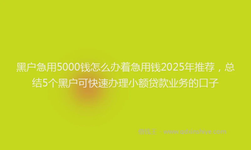 黑户急用5000钱怎么办着急用钱2025年推荐，总结5个黑户可快速办理小额贷款业务的口子