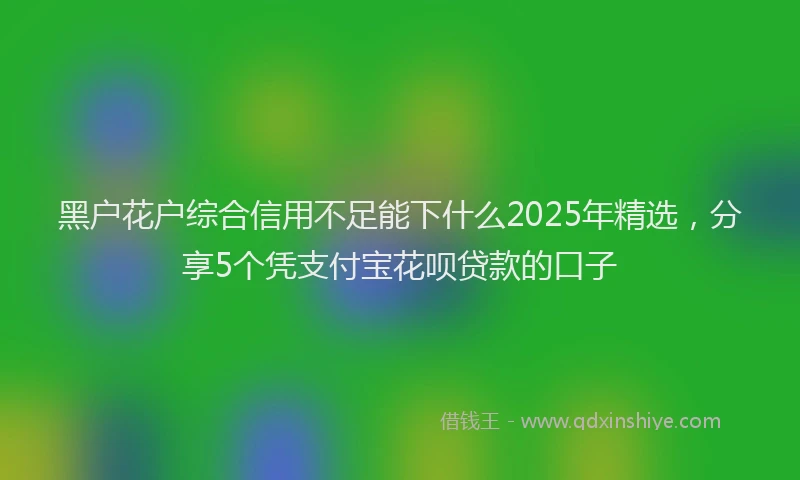 黑户花户综合信用不足能下什么2025年精选，分享5个凭支付宝花呗贷款的口子