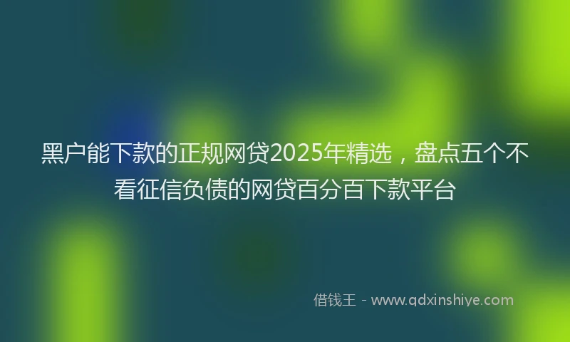 黑户能下款的正规网贷2025年精选，盘点五个不看征信负债的网贷百分百下款平台