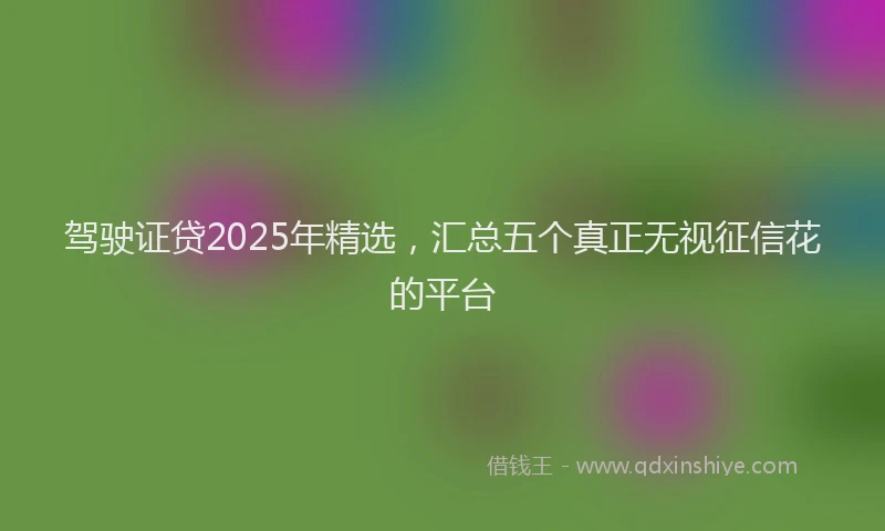 驾驶证贷2025年精选，汇总五个真正无视征信花的平台
