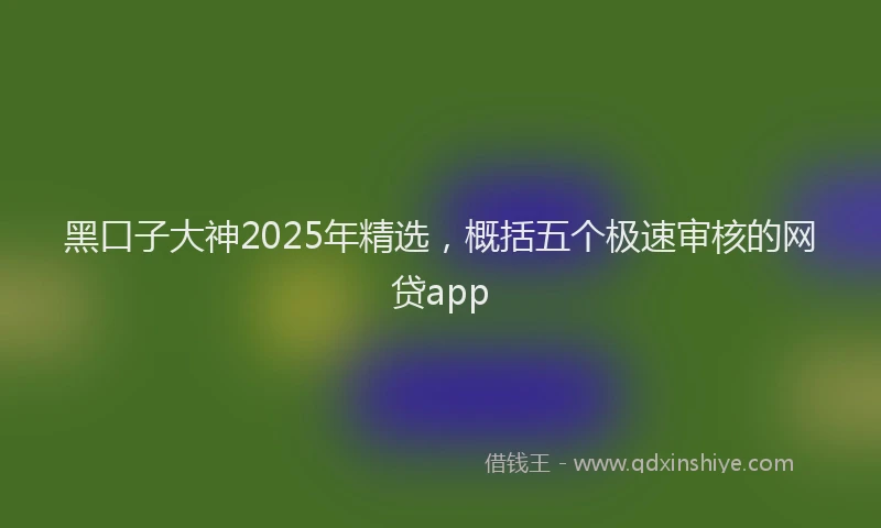 黑口子大神2025年精选，概括五个极速审核的网贷app