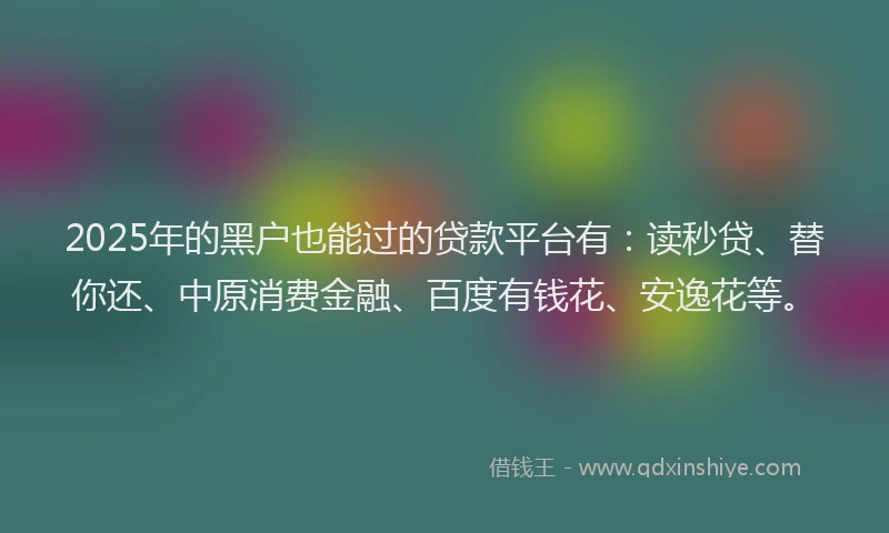 2025年的黑户也能过的贷款平台有：读秒贷、替你还、中原消费金融、百度有钱花、安逸花等。