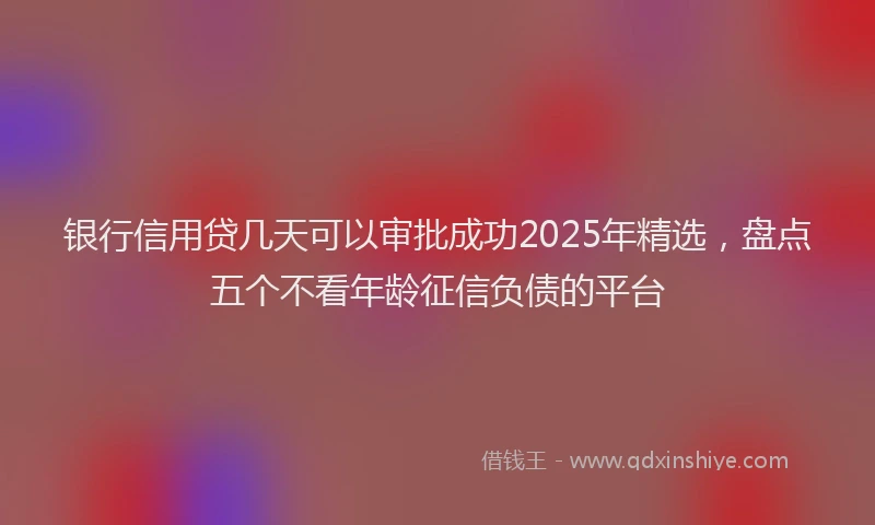 银行信用贷几天可以审批成功2025年精选，盘点五个不看年龄征信负债的平台