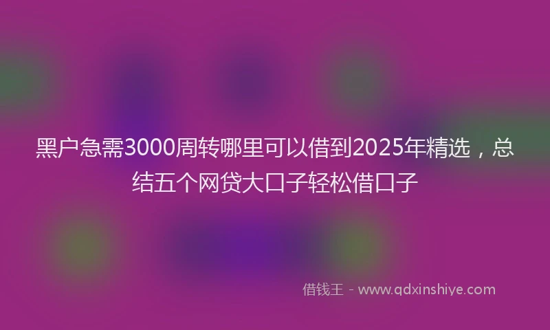 黑户急需3000周转哪里可以借到2025年精选，总结五个网贷大口子轻松借口子