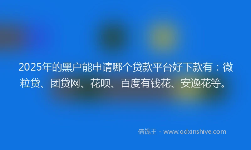 2025年的黑户能申请哪个贷款平台好下款有：微粒贷、团贷网、花呗、百度有钱花、安逸花等。