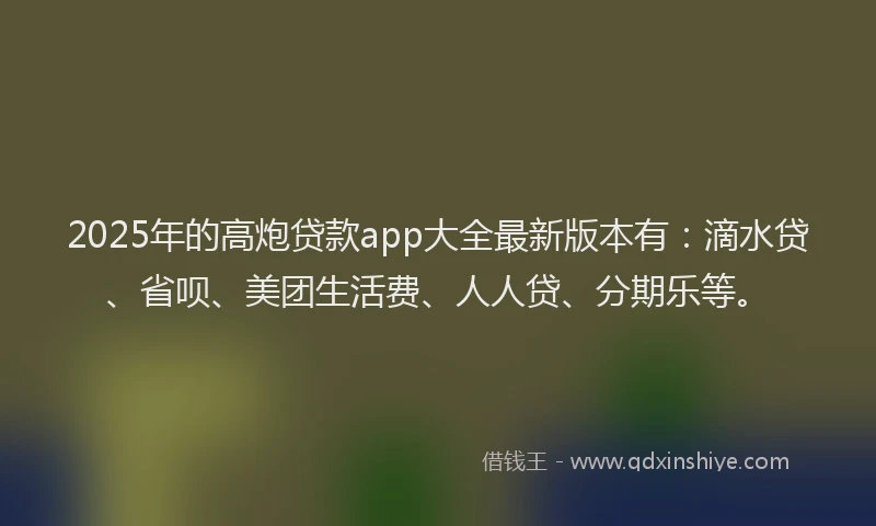 2025年的高炮贷款app大全最新版本有：滴水贷、省呗、美团生活费、人人贷、分期乐等。