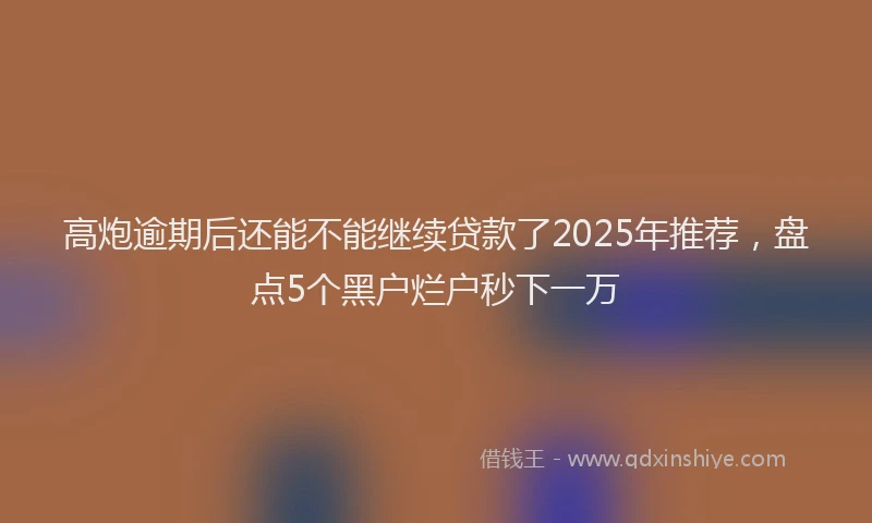 高炮逾期后还能不能继续贷款了2025年推荐，盘点5个黑户烂户秒下一万