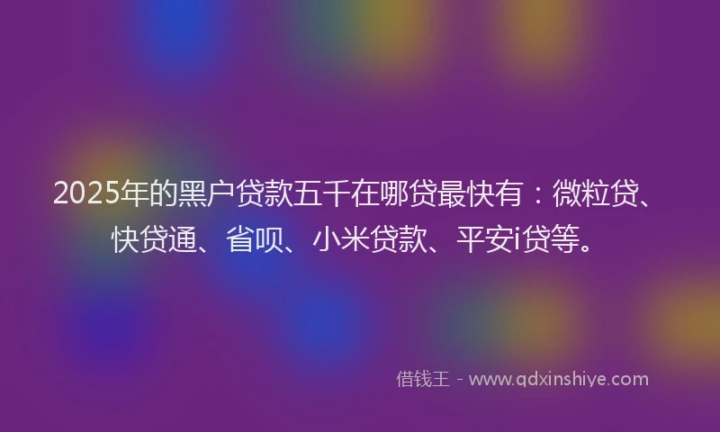 2025年的黑户贷款五千在哪贷最快有：微粒贷、快贷通、省呗、小米贷款、平安i贷等。