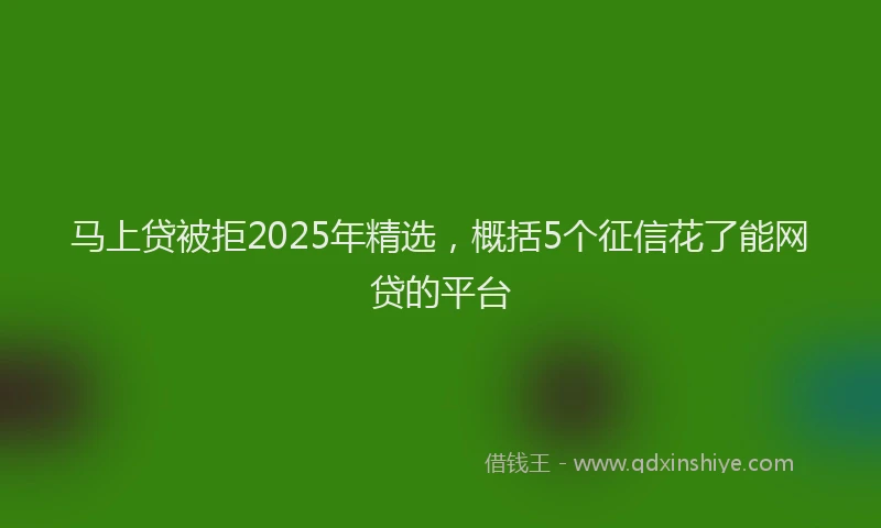 马上贷被拒2025年精选，概括5个征信花了能网贷的平台