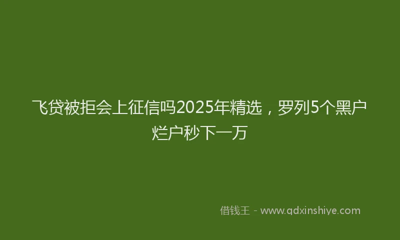 飞贷被拒会上征信吗2025年精选，罗列5个黑户烂户秒下一万