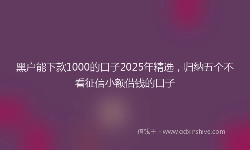 黑户能下款1000的口子2025年精选，归纳五个不看征信小额借钱的口子
