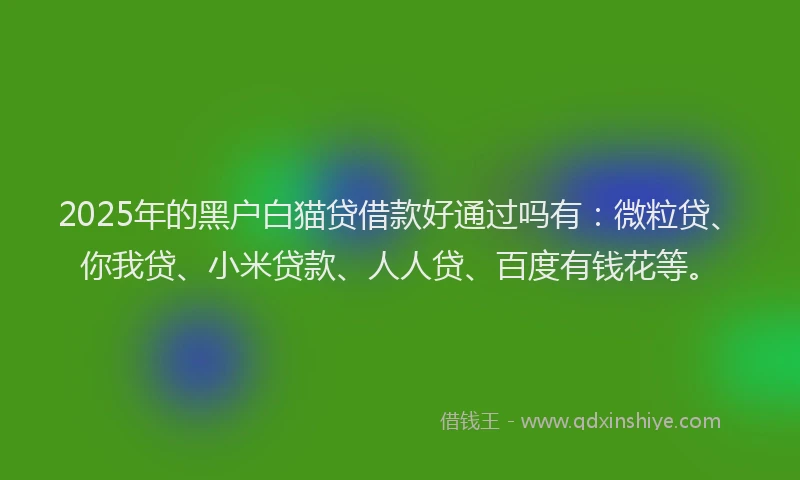 2025年的黑户白猫贷借款好通过吗有：微粒贷、你我贷、小米贷款、人人贷、百度有钱花等。