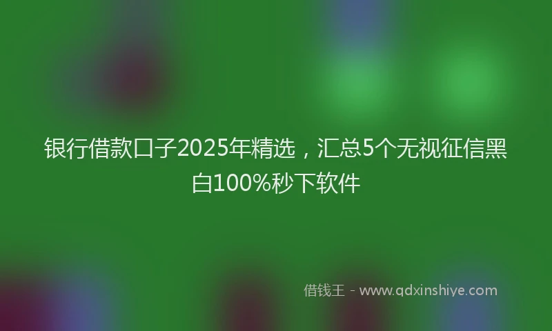 银行借款口子2025年精选，汇总5个无视征信黑白100%秒下软件