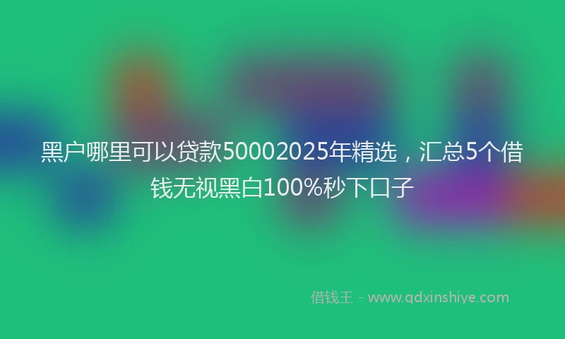 黑户哪里可以贷款50002025年精选，汇总5个借钱无视黑白100%秒下口子