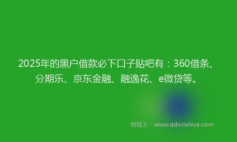 2025年的黑户借款必下口子贴吧有：360借条、分期乐、京东金融、融逸花、e微贷等。