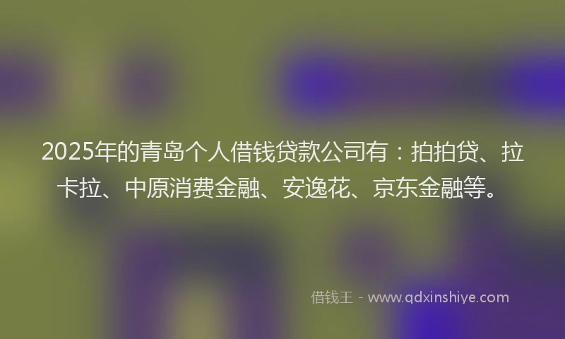 2025年的青岛个人借钱贷款公司有：拍拍贷、拉卡拉、中原消费金融、安逸花、京东金融等。