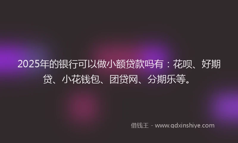 2025年的银行可以做小额贷款吗有：花呗、好期贷、小花钱包、团贷网、分期乐等。