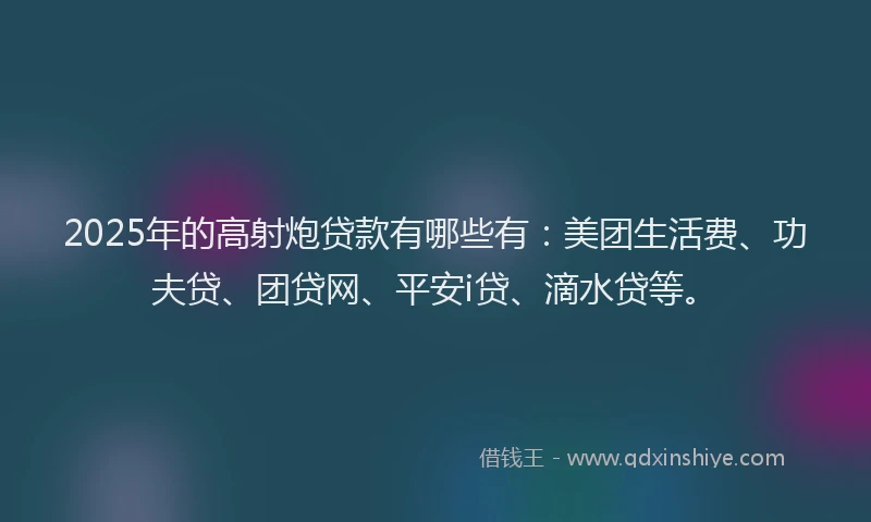 2025年的高射炮贷款有哪些有：美团生活费、功夫贷、团贷网、平安i贷、滴水贷等。