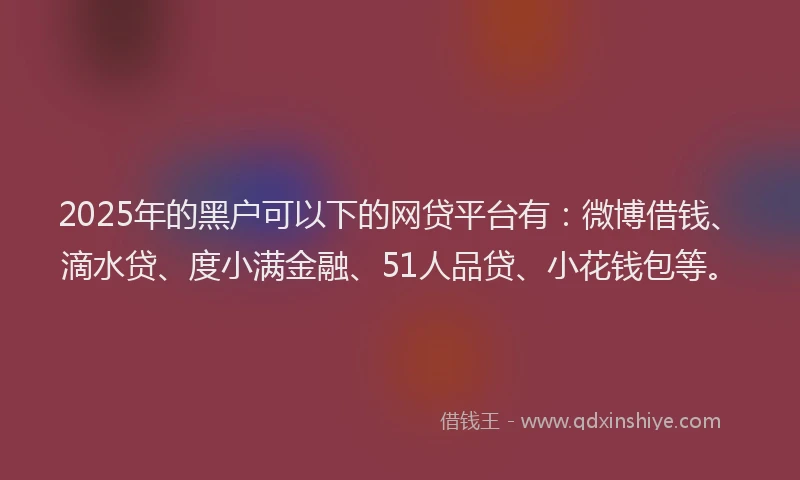 2025年的黑户可以下的网贷平台有：微博借钱、滴水贷、度小满金融、51人品贷、小花钱包等。