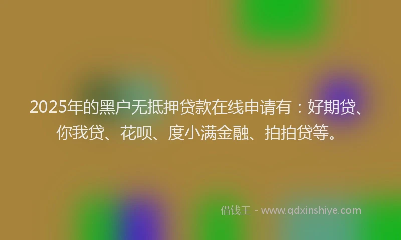 2025年的黑户无抵押贷款在线申请有：好期贷、你我贷、花呗、度小满金融、拍拍贷等。