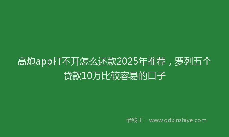 高炮app打不开怎么还款2025年推荐，罗列五个贷款10万比较容易的口子