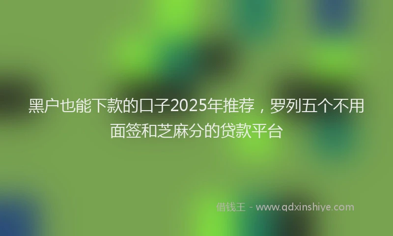 黑户也能下款的口子2025年推荐，罗列五个不用面签和芝麻分的贷款平台