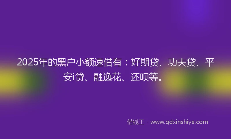 2025年的黑户小额速借有：好期贷、功夫贷、平安i贷、融逸花、还呗等。