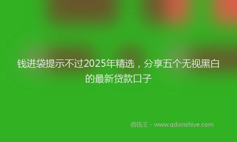 钱进袋提示不过2025年精选，分享五个无视黑白的最新贷款口子