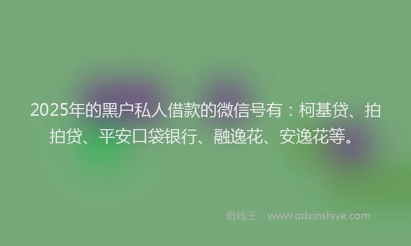 2025年的黑户私人借款的微信号有：柯基贷、拍拍贷、平安口袋银行、融逸花、安逸花等。