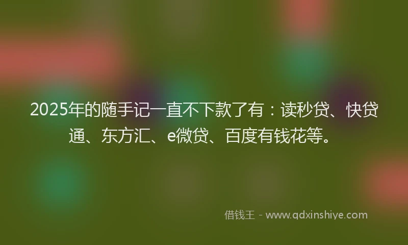2025年的随手记一直不下款了有：读秒贷、快贷通、东方汇、e微贷、百度有钱花等。