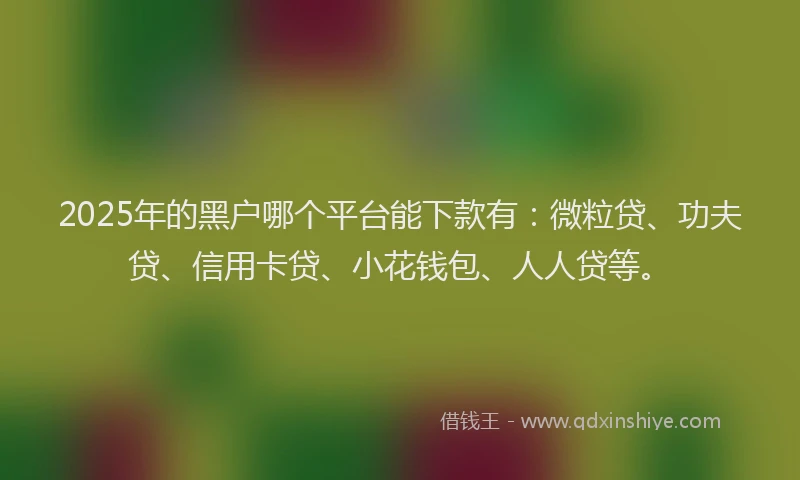 2025年的黑户哪个平台能下款有：微粒贷、功夫贷、信用卡贷、小花钱包、人人贷等。