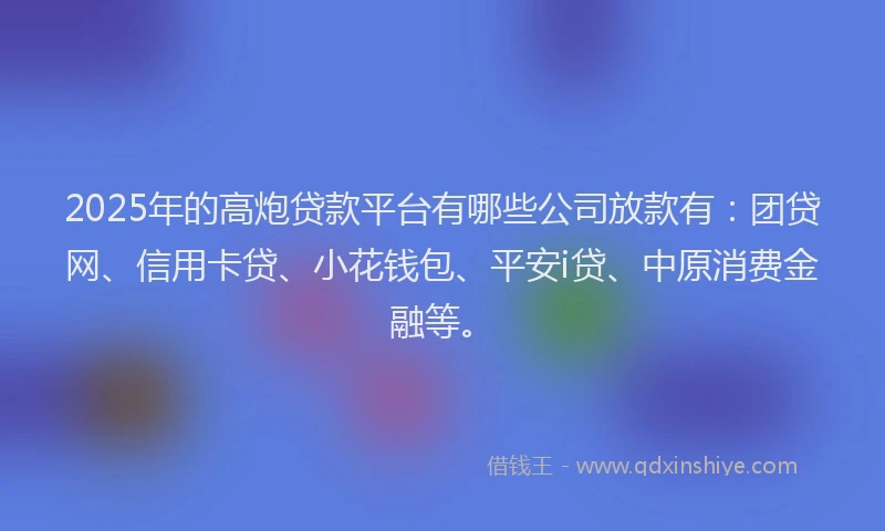 2025年的高炮贷款平台有哪些公司放款有：团贷网、信用卡贷、小花钱包、平安i贷、中原消费金融等。