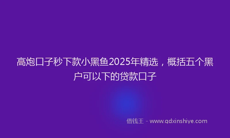 高炮口子秒下款小黑鱼2025年精选，概括五个黑户可以下的贷款口子